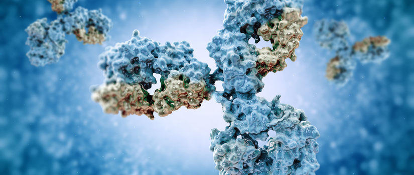 antibodies to cell movement of the virus