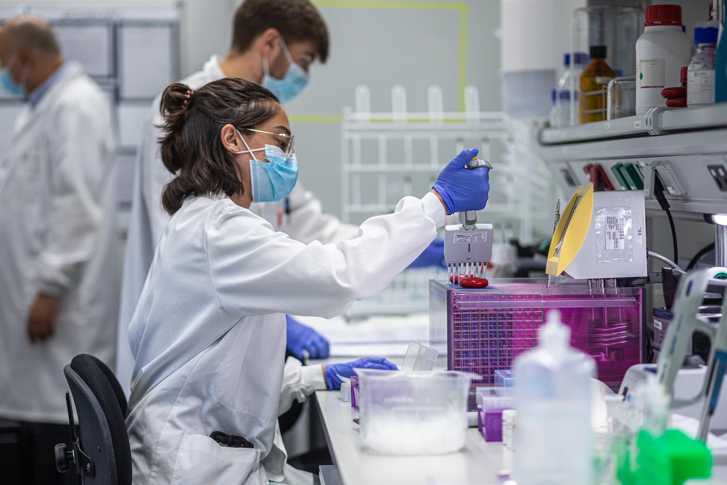 Bioequivalence studies