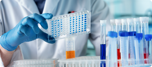 cmc-services cmc-services