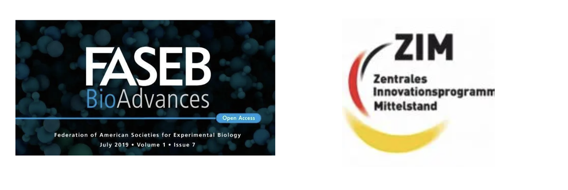 logos-determination-micro-RNA